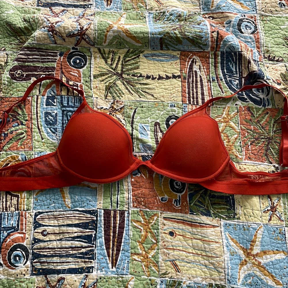 Mesh All You Bra